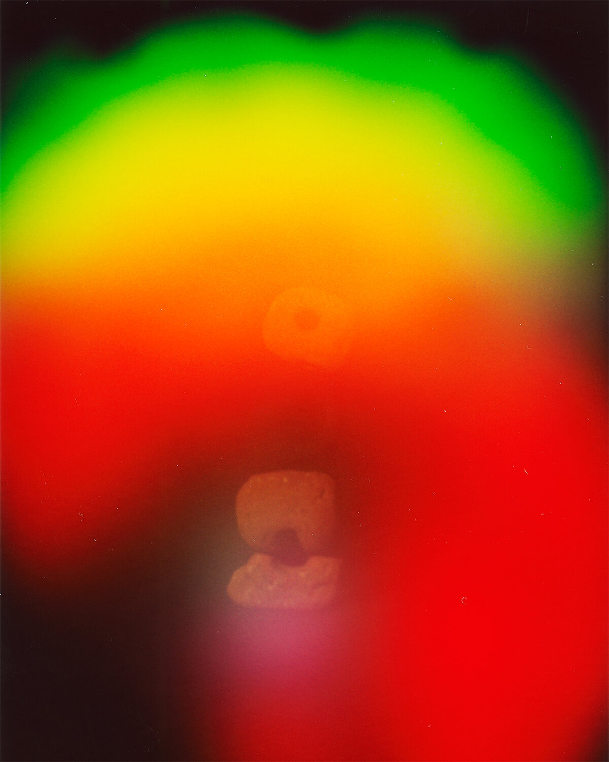 Aura-(Kyle-and-I),-with-Hag-Stones-III_2019_Archival-Pigment-Print_20x16.jpg
