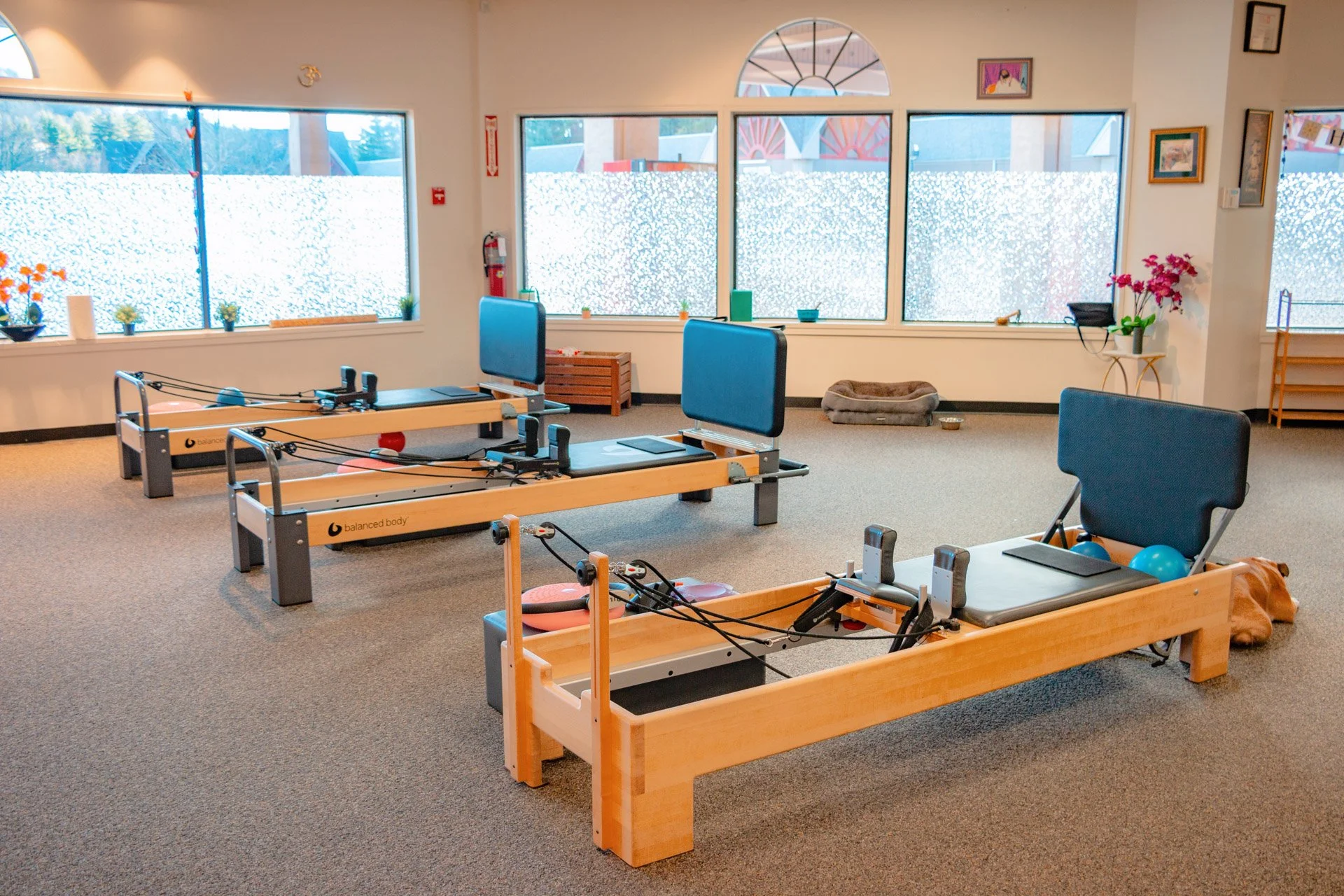 Pilates reformer machines in a well-lit fitness studio with large windows, potted plants, and artwork on the walls.