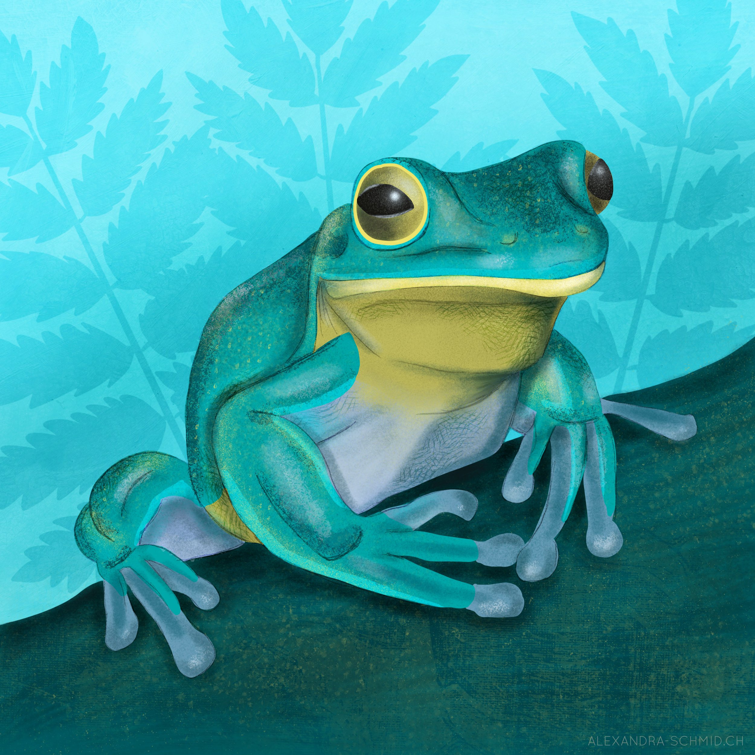 AUSTRALIAN TREE FROG