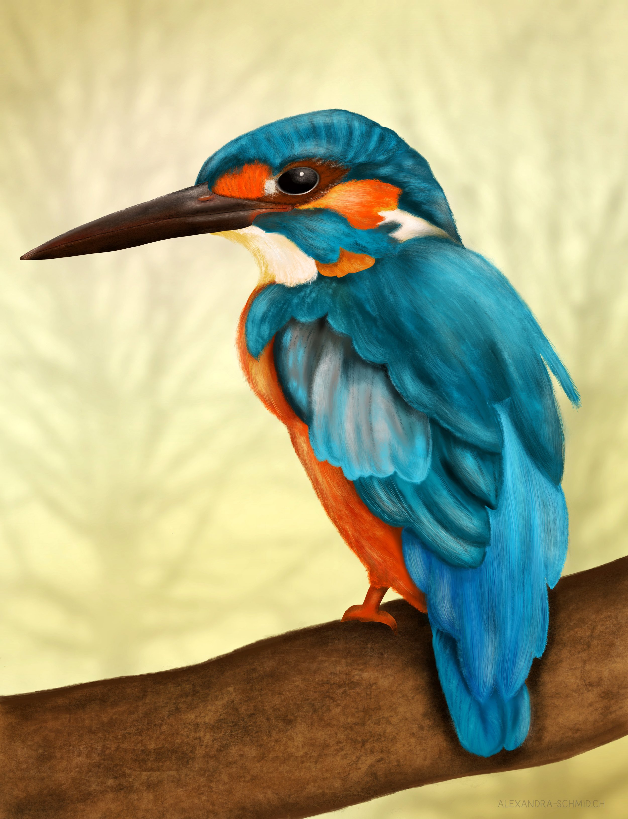 KINGFISHER