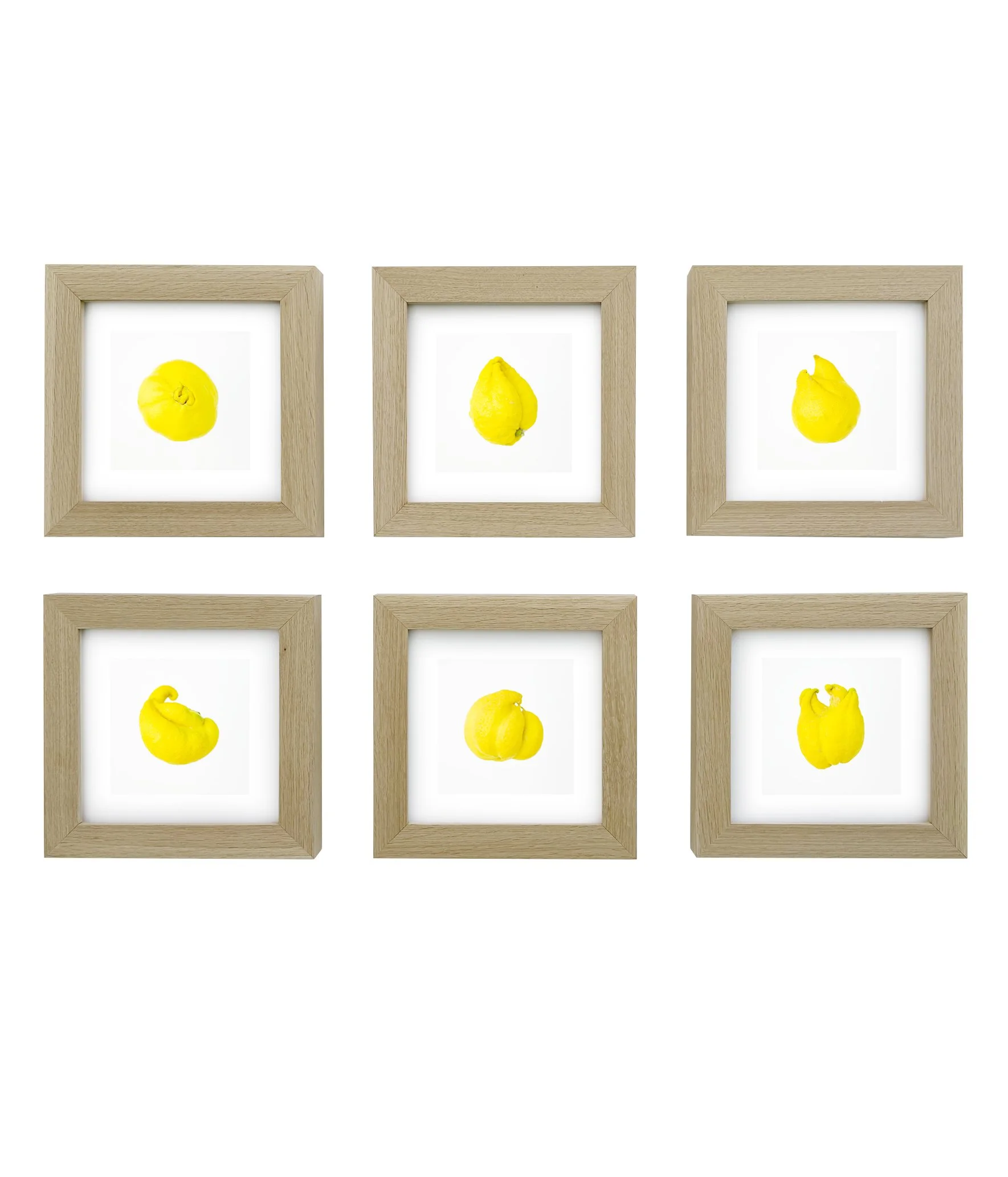F@#*%$'D UP LEMONS (SET OF 6)