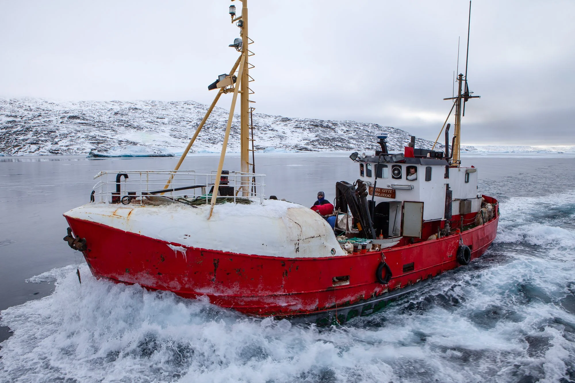 greenland_hesselwaalewijnphoto_2010-03_2682.jpg