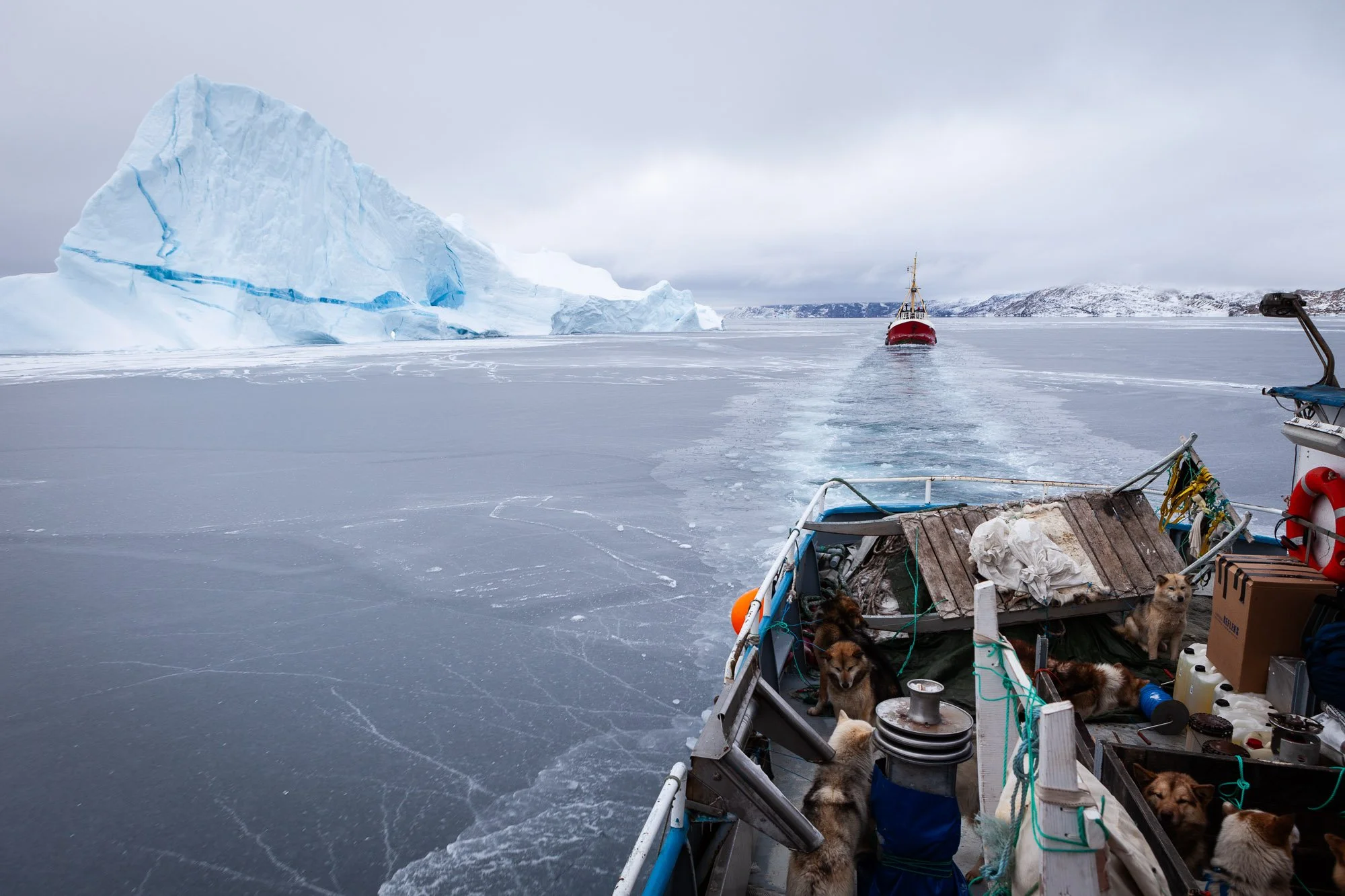 greenland_hesselwaalewijnphoto_2010-03_2694.jpg