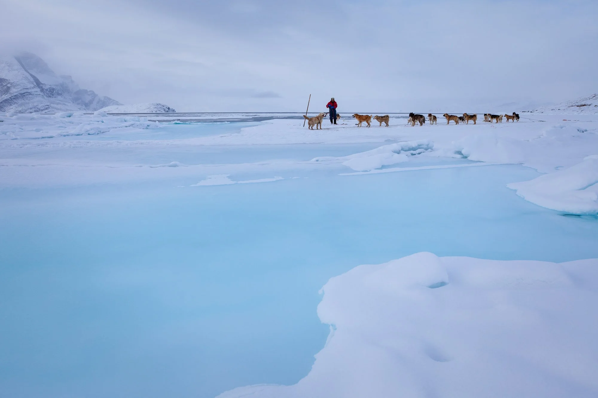 greenland_hesselwaalewijnphoto_2010-03_2926.jpg