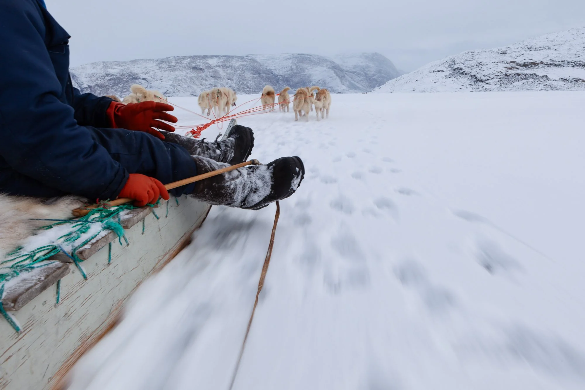 greenland_hesselwaalewijnphoto_2010-03_2959.jpg