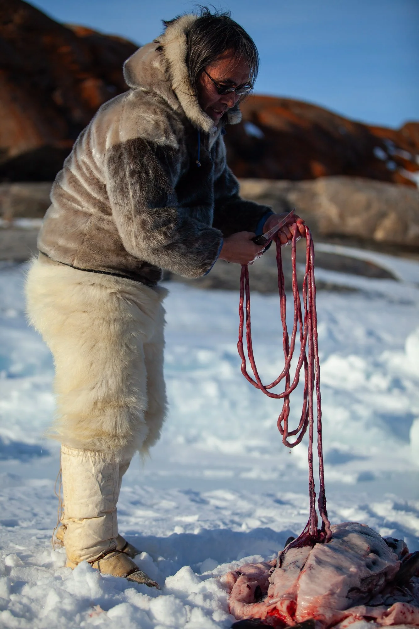 greenland_hesselwaalewijnphoto_2011-04_4287.jpg