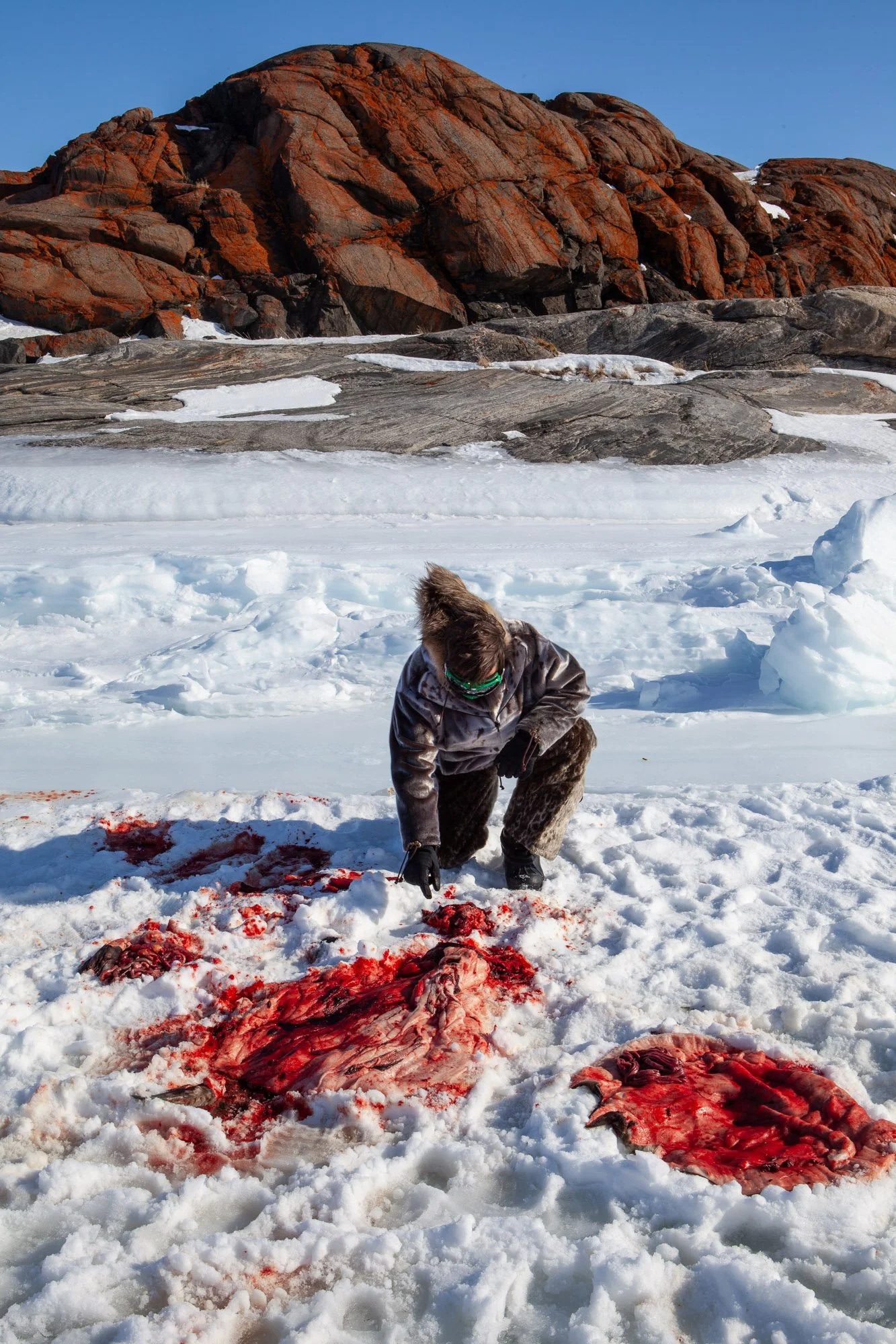 greenland_hesselwaalewijnphoto_2011-04_4582.jpg