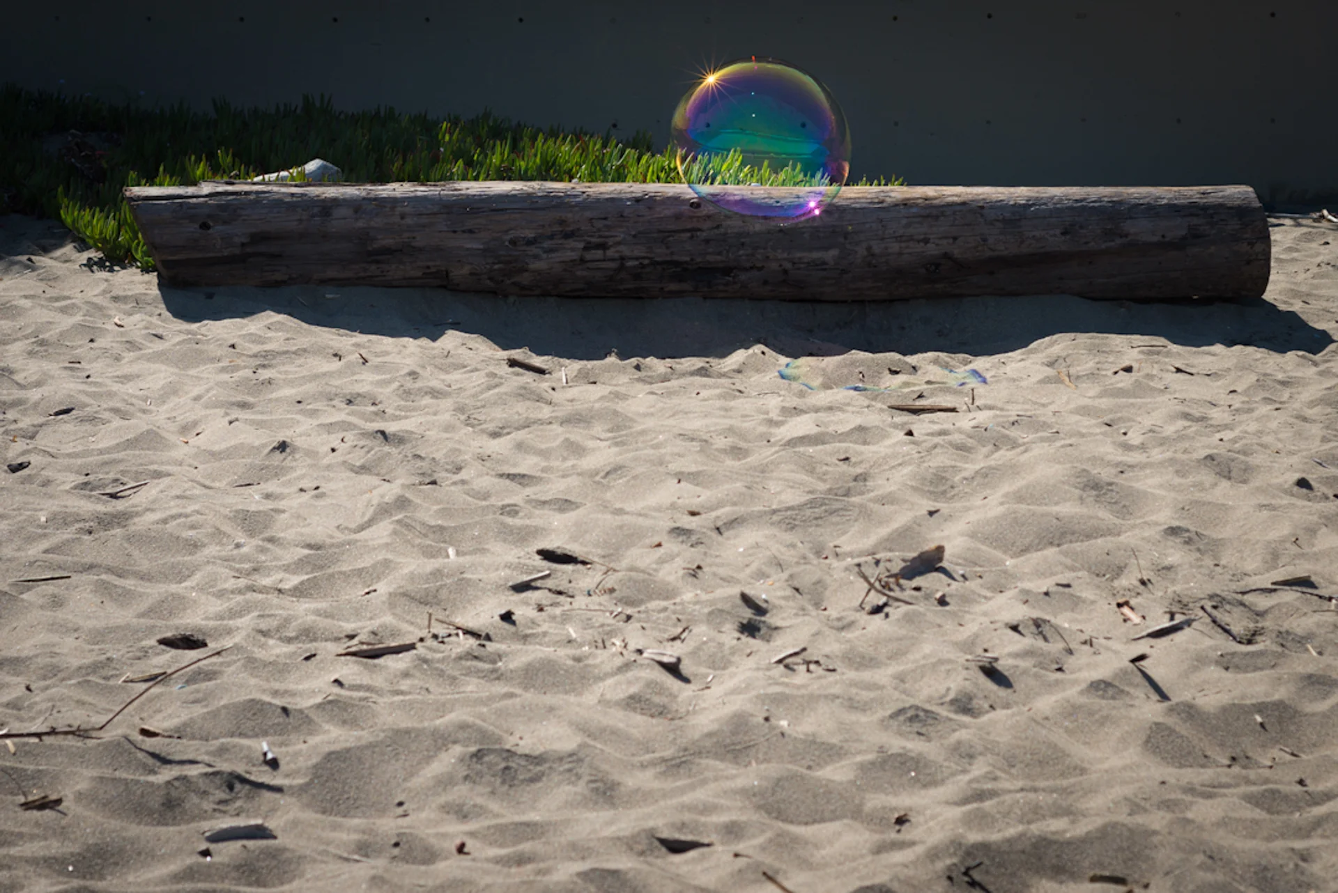 DSC_0552.jpg