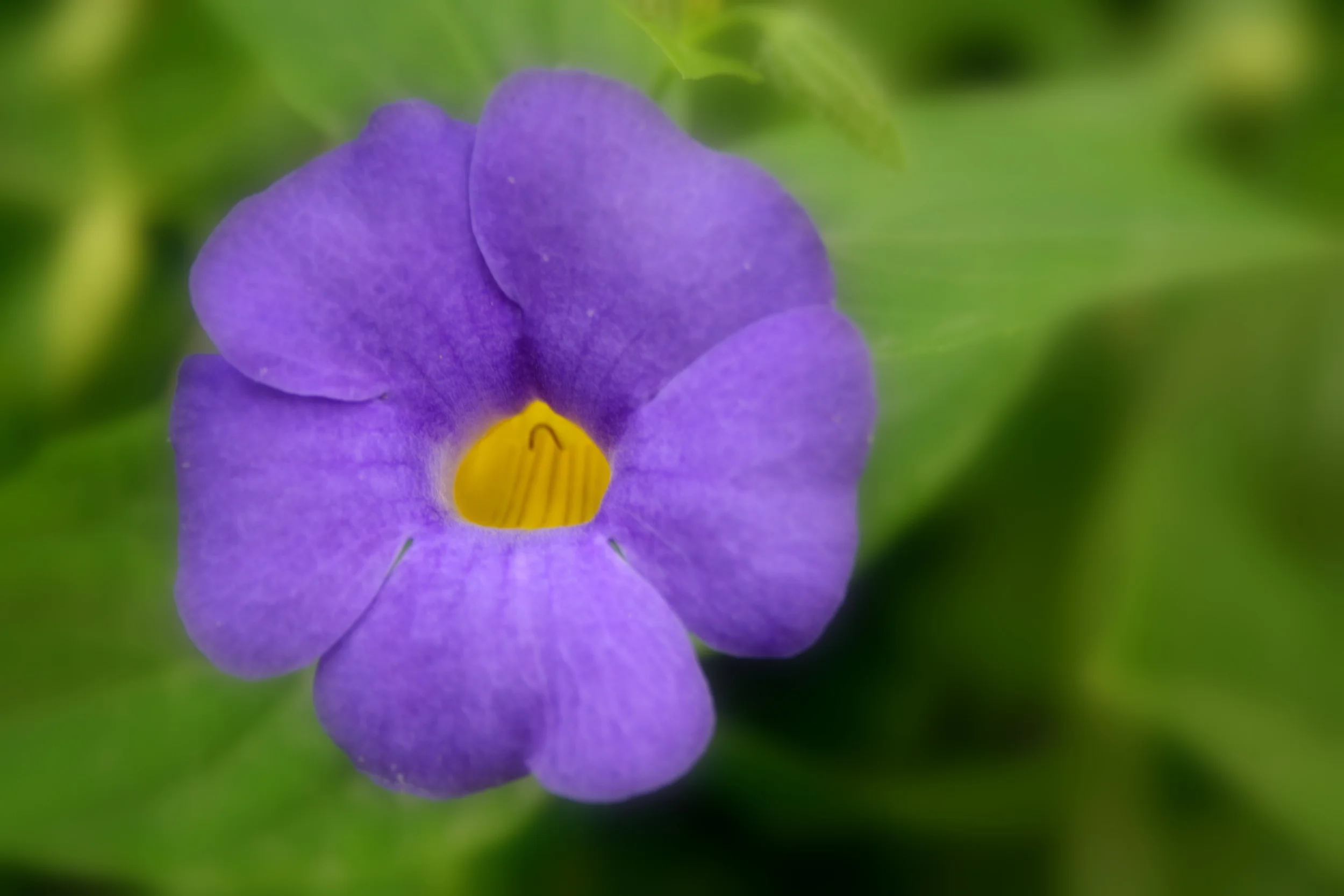 Getty 2010 140-2.jpg