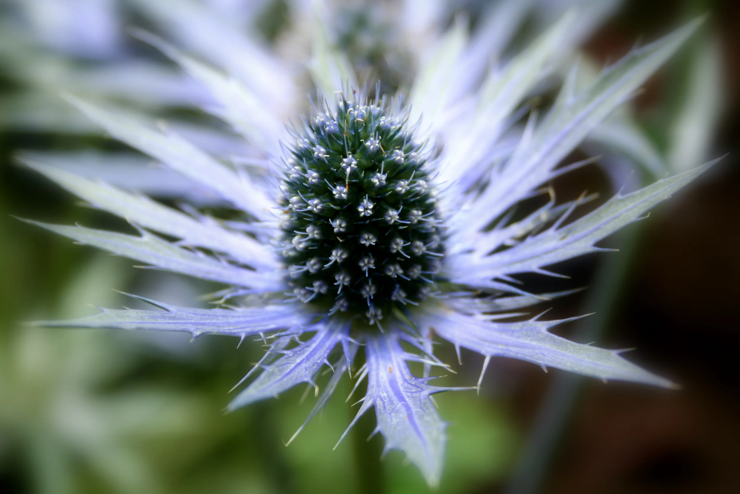 Getty 2010 217-1.jpg