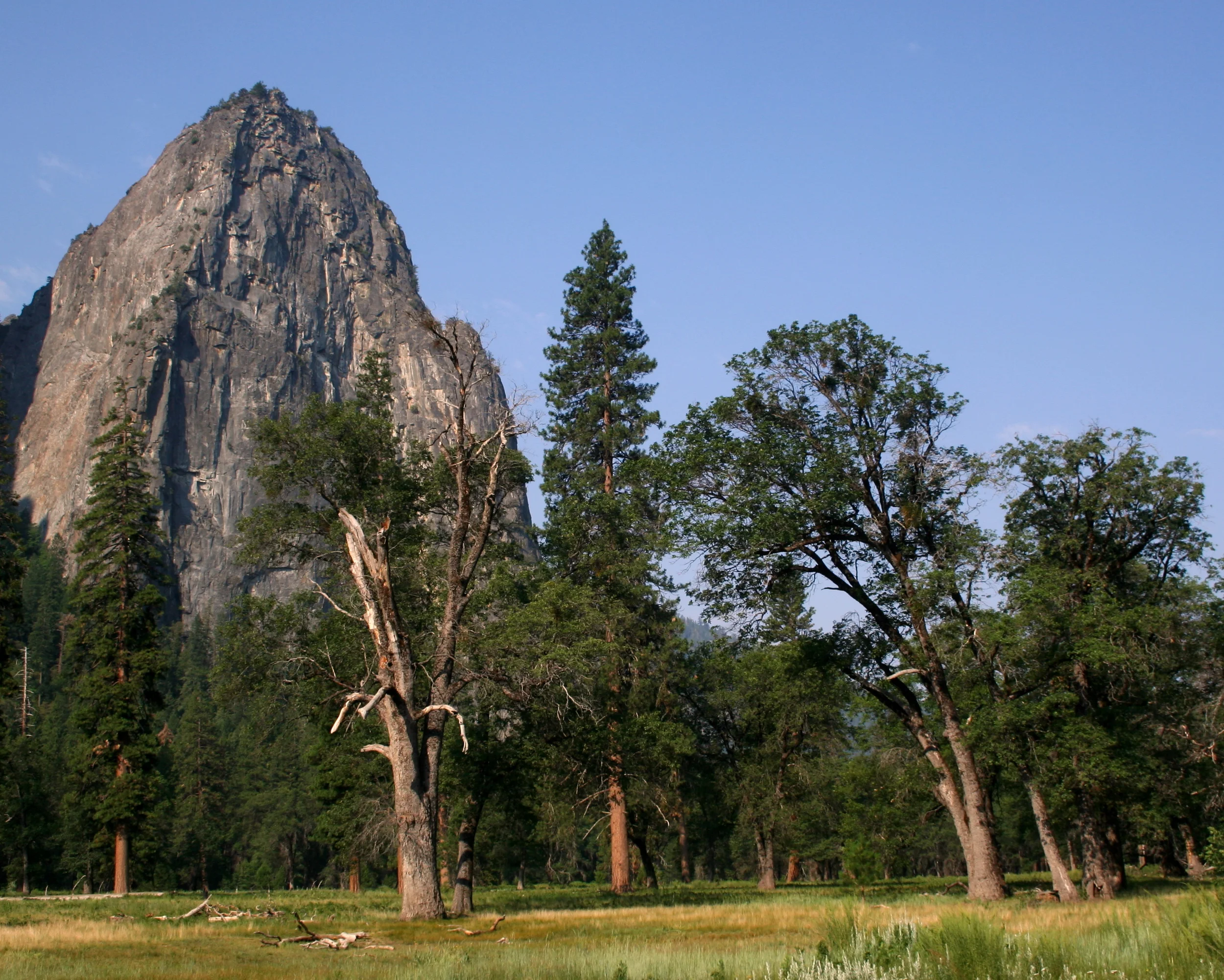 YosemiteJuly08 366-8x10.jpg