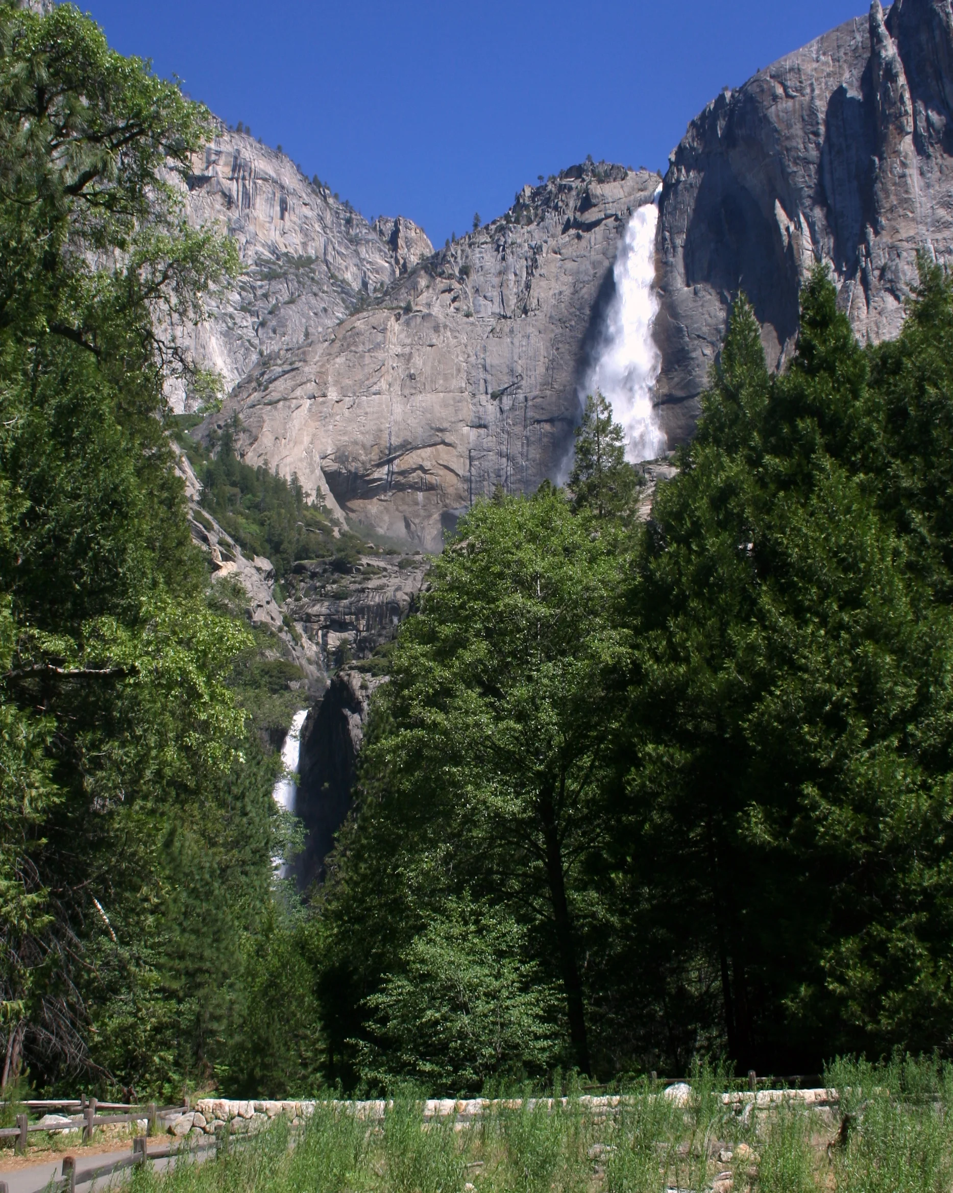 YosemiteJune08 263-8x10.jpg