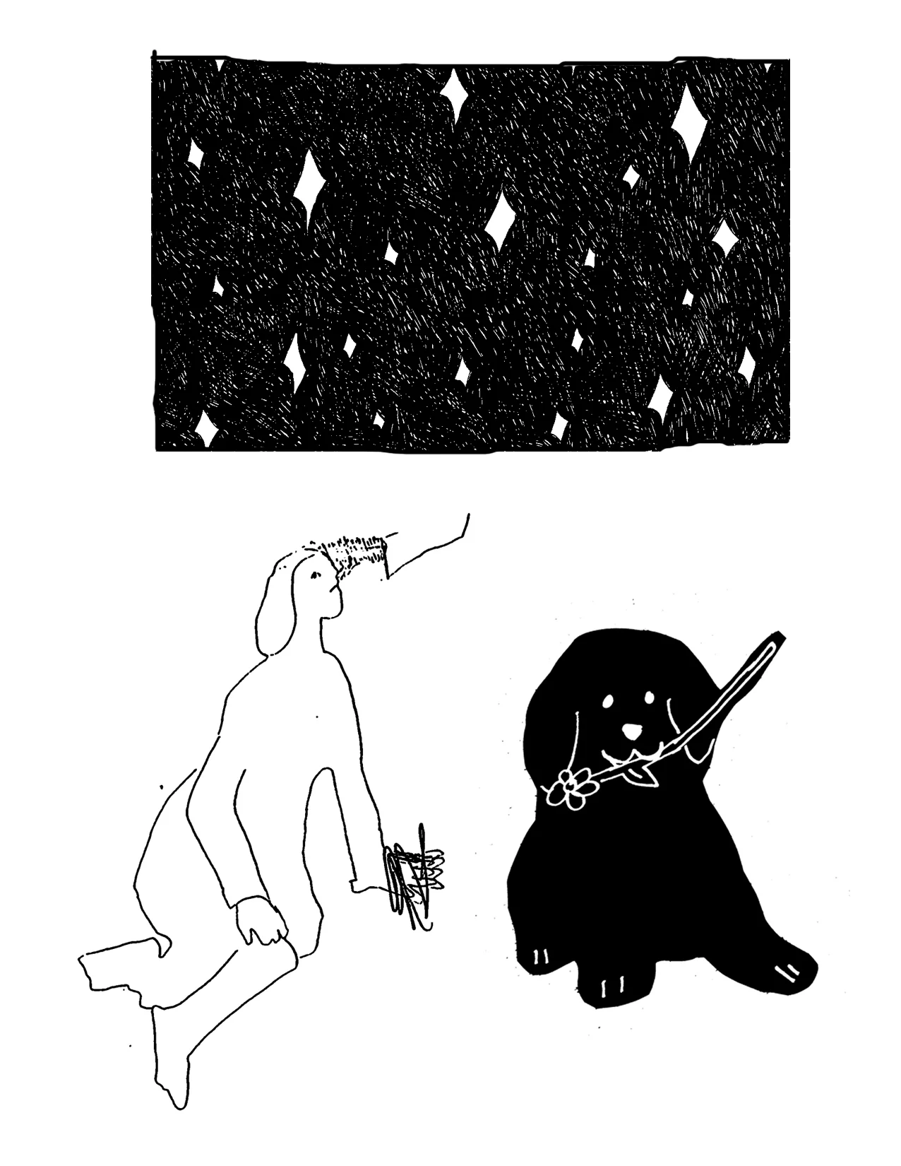 STARRYPUP.jpg