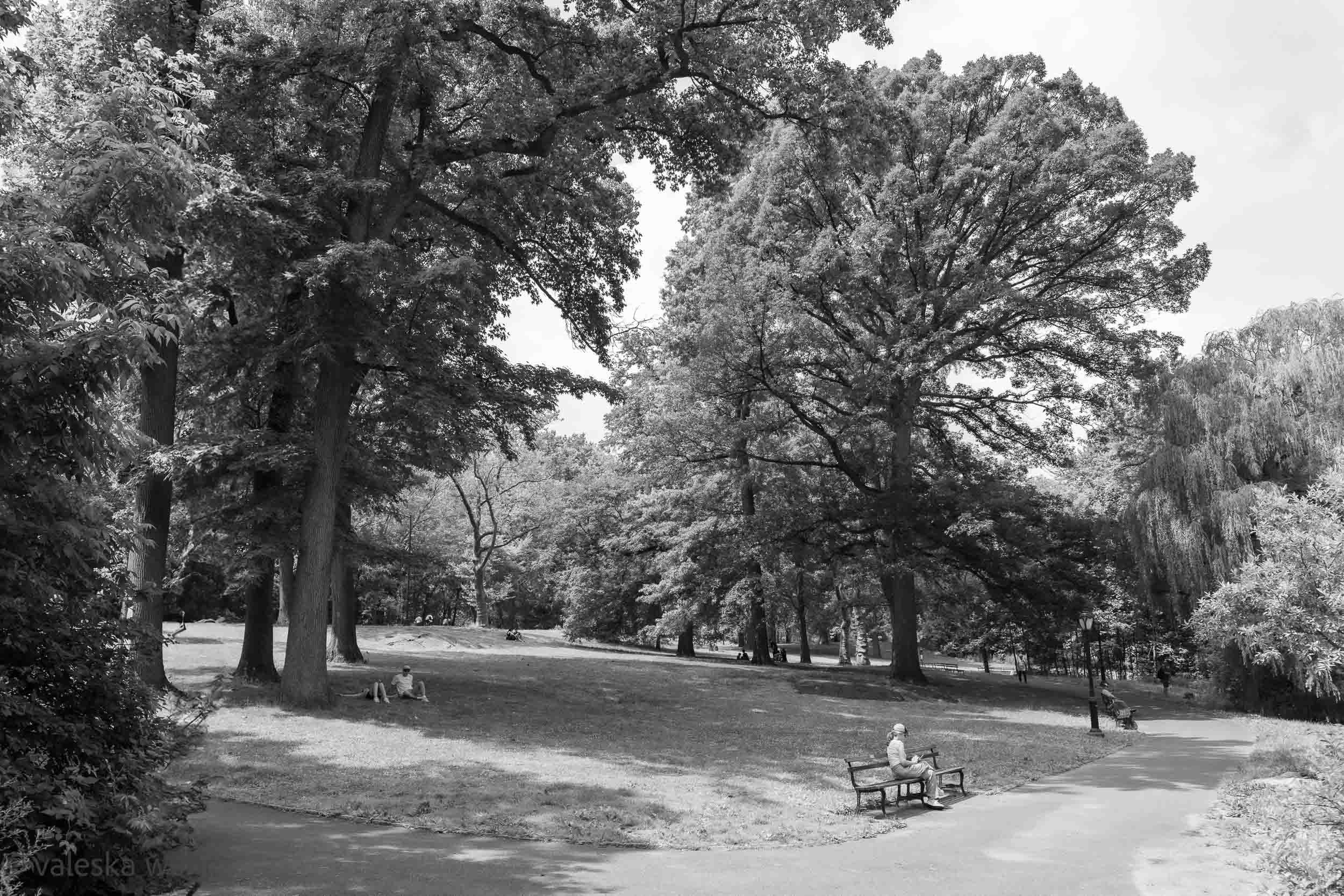 New York’s Green Heart