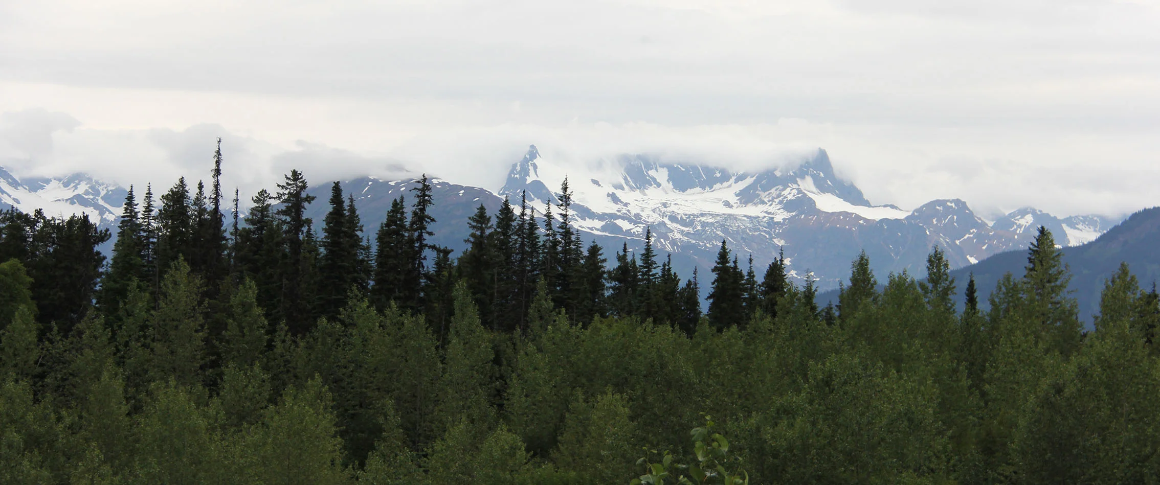 IMG_2485.jpg