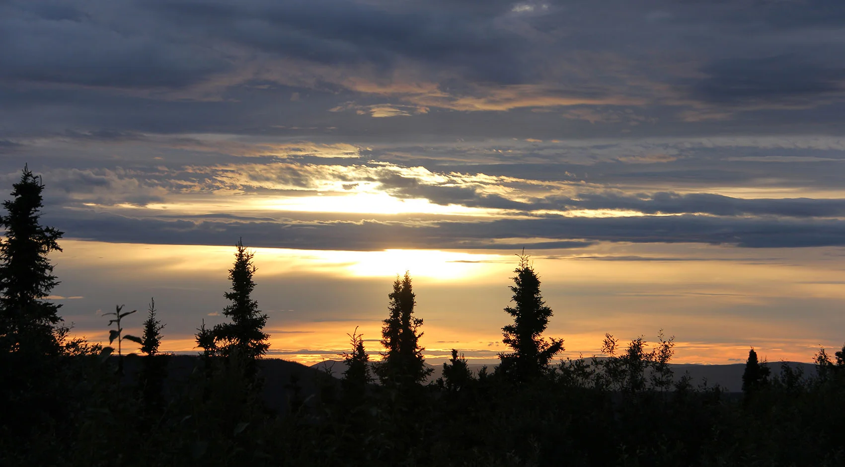 IMG_3767.jpg