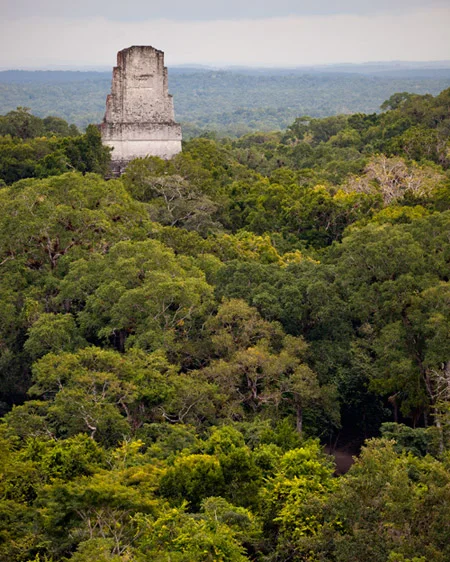 TikalTower_ochoa_fotochoa.jpg