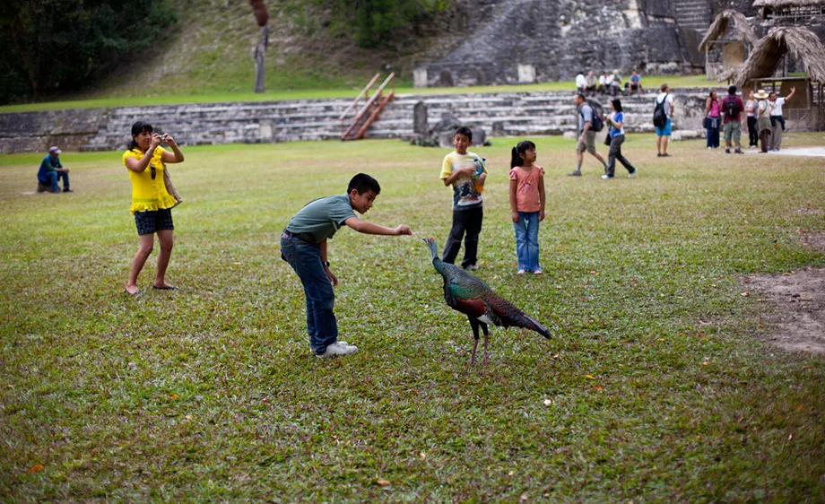 TikalCamerasComp_ochoa_fotochoa.jpg
