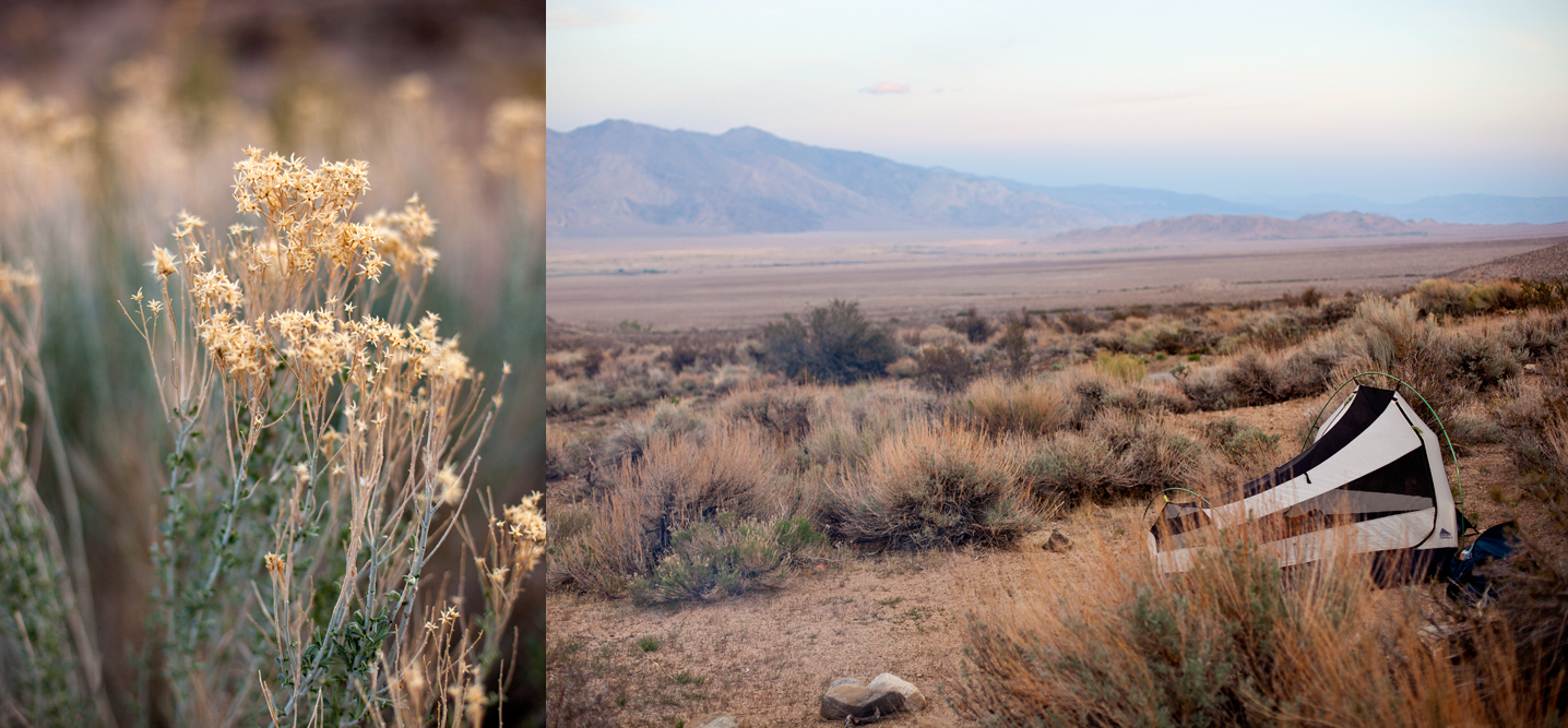 Grays Meadow, Independence CA