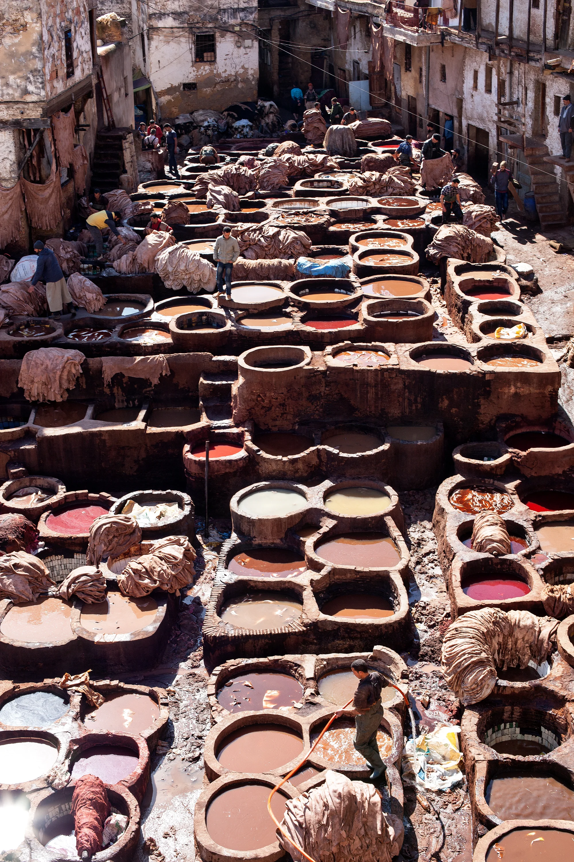Tannery, Fes Medina