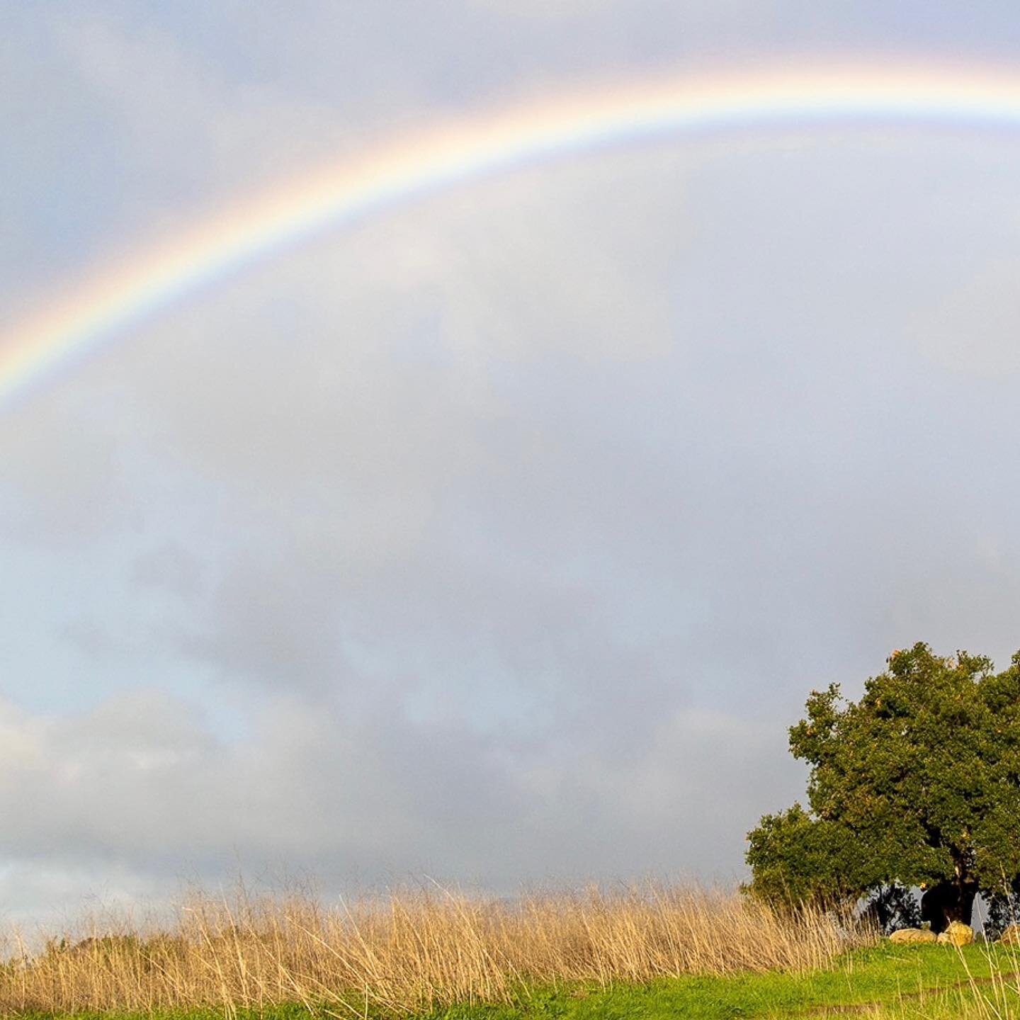 Clearing nicely this morning #🌈 
.
.
.
#seesb #weliveinparadise #santabarabara #gogoleta #sanmarcosfoothillspreserve