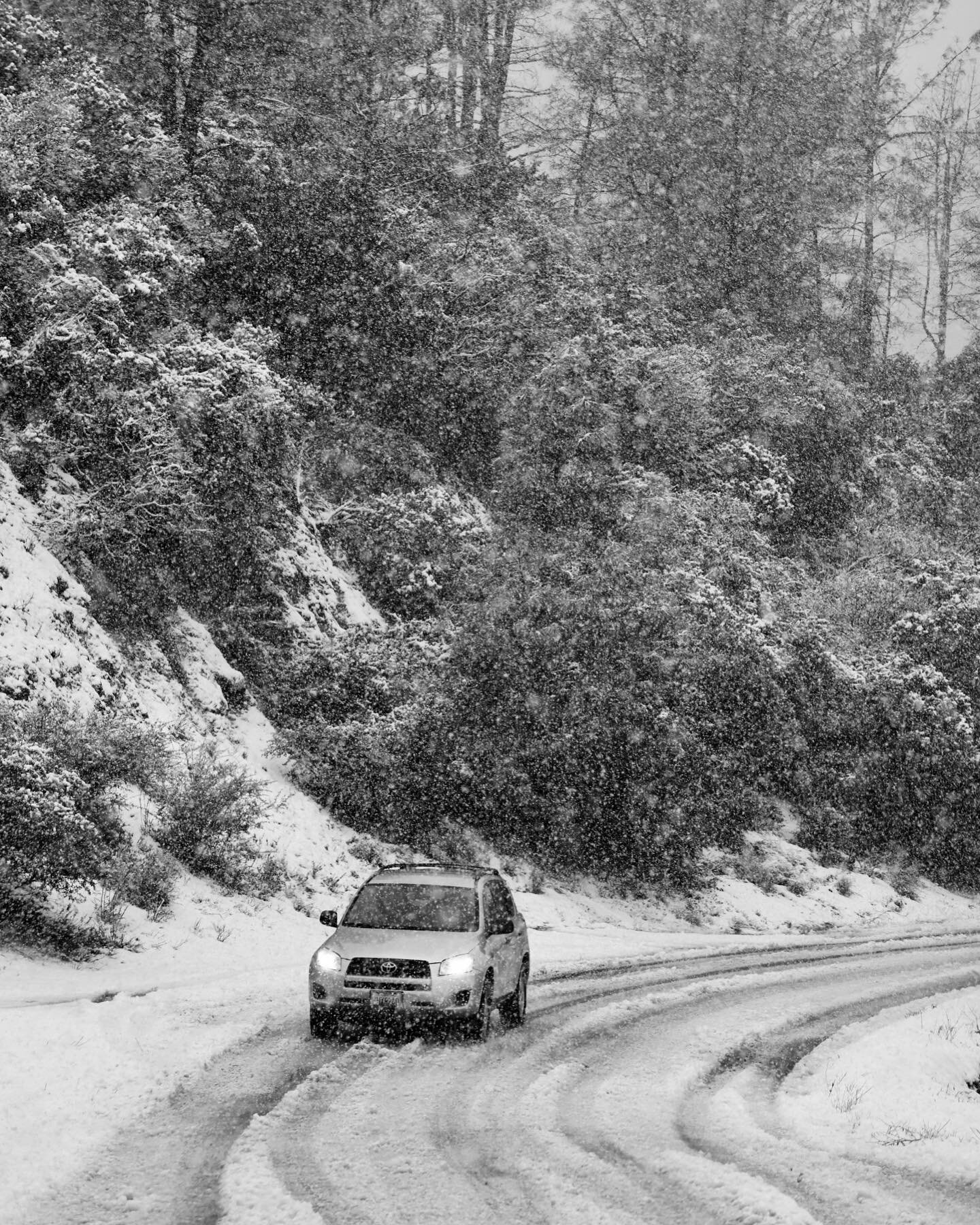 The great Santa Barbara &ldquo;blizzard&rdquo; of February 2023. Snow level was at 2800 ft and dropping. We should have worn our snow pants! 

#seesb #gogoleta #santabarbara #atmosphericriver