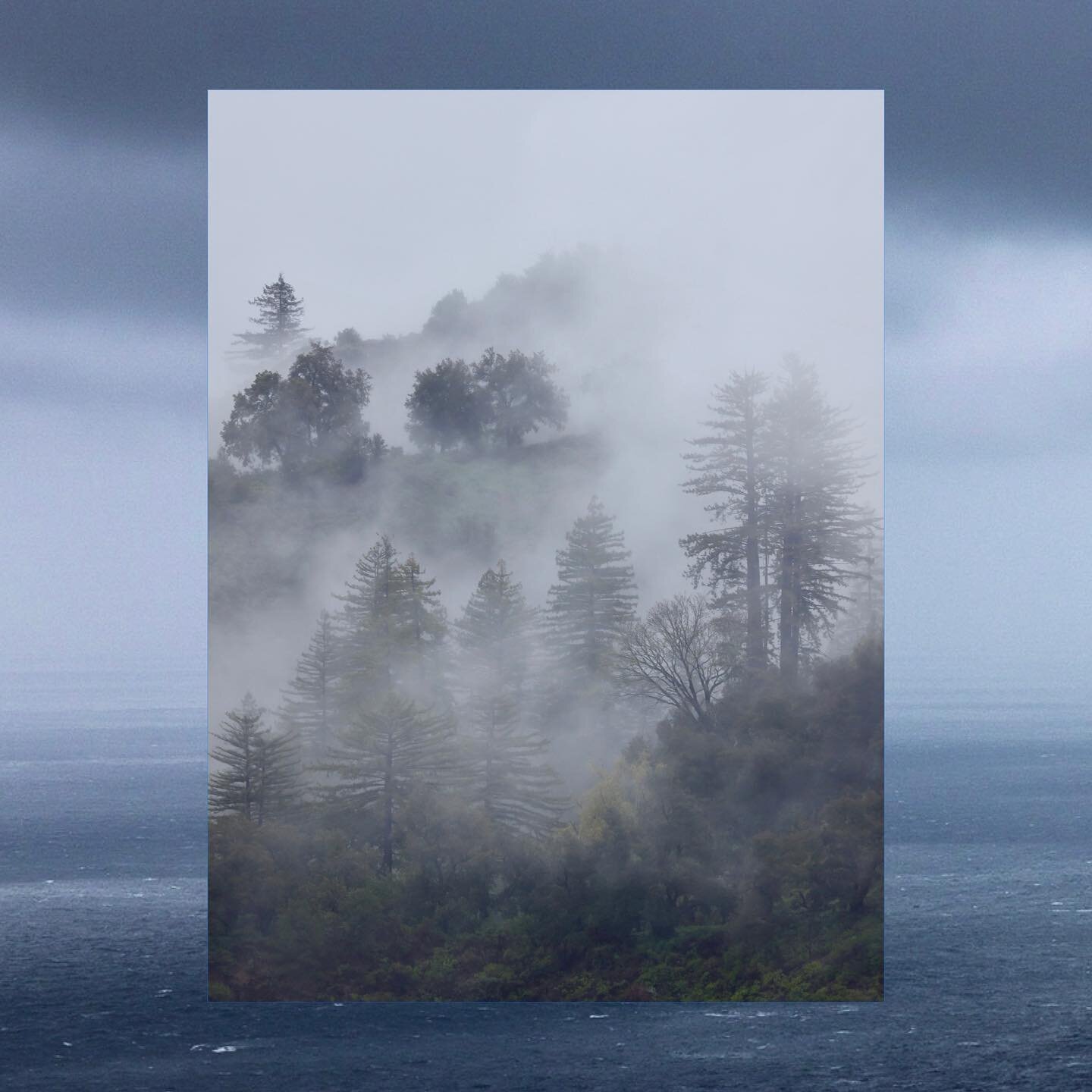 Where the land meets the sea at 1,000 ft of elevation. 
.
.
.
.
#bigsur #bigsurcoast #postranchinn #visitcalifornia @visitbigsur #winter2023 #travelcalifornia