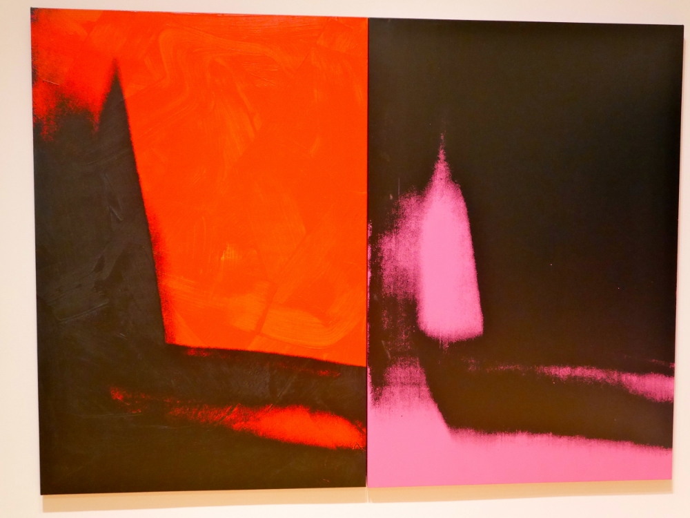 Andy Warhol, Shadows