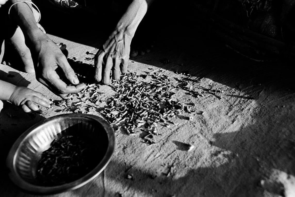 Une femme prépare un bouillon avec les carcasses de crevettes qu'elle a trouvées sur le sol d'un marché. Elle nourrira sept enfants avec. © Greg Constantine, Exiled To Nowhere