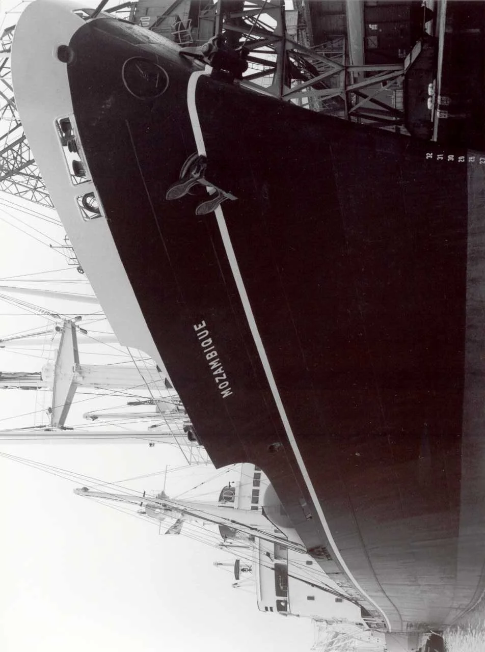 Roman : "Data transport", ou l'arche de Noé du langage