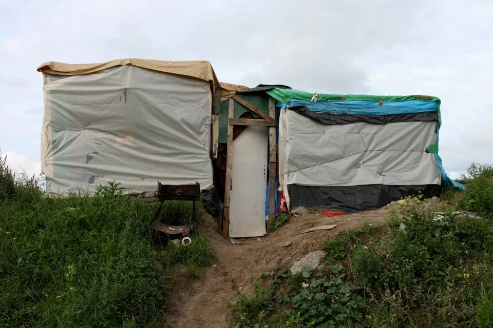 La jungle des villes, littéralement