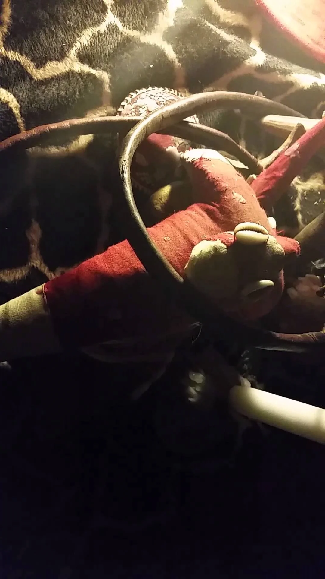 La grande peur africaine des voleurs de sexe - 2