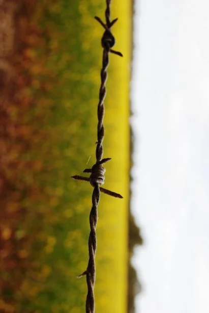 Libre circulation suspendue : les défenseurs du climat ne seront pas les bienvenus en France pour la COP 21