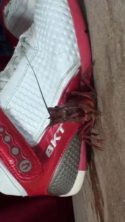 Jon Rafman et le "dark web" - Attention les yeux !