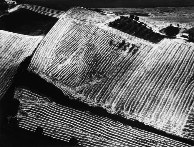 Mario Giacomelli, Metamorfosi della terra, 1980 Tirage argentique — 30 × 39,5 cm Courtesy Galerie Berthet­Aittouarès, Paris