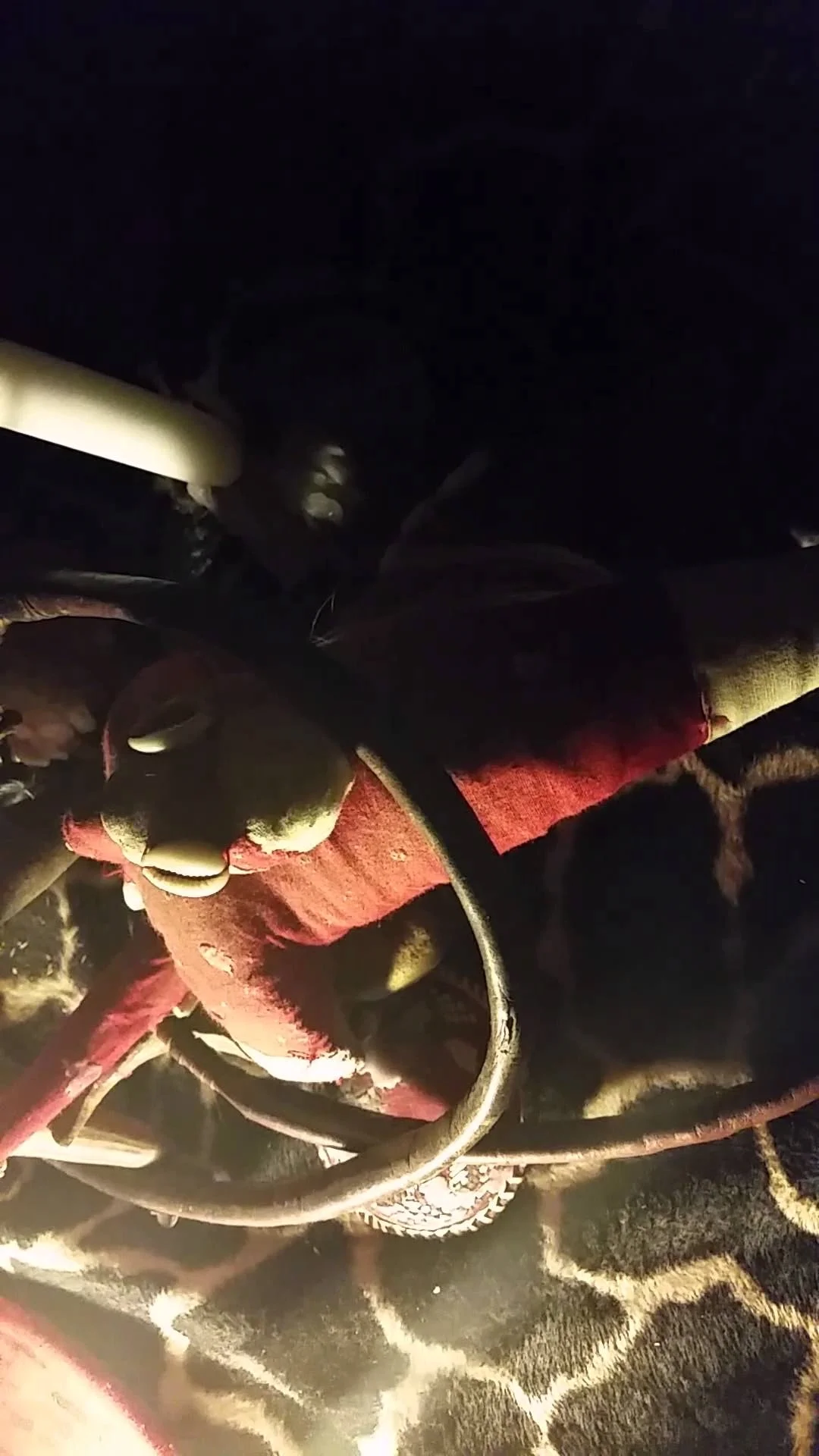 La grande peur des voleurs de sexe, par Jean-Jacques Mandel (texte intégral)