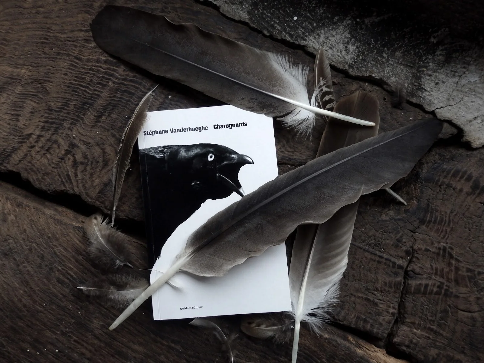 "Charognards" - quand est venu le temps des corbeaux (toute analogie etc)