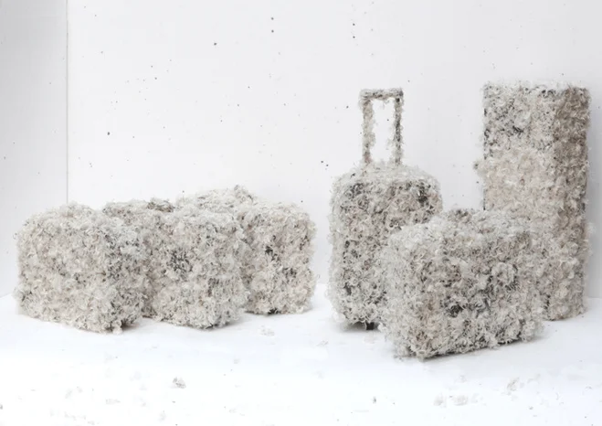 Immigrants, 2011Valises, plumes, goudron.Dimensions variables.L'installation est composée de valises (partenariat Emmaüs International) goudronnées puis emplumées. "Immigrants" évoque le supplice du goudron et des plumes qui depuis le Moyen-Age sert…