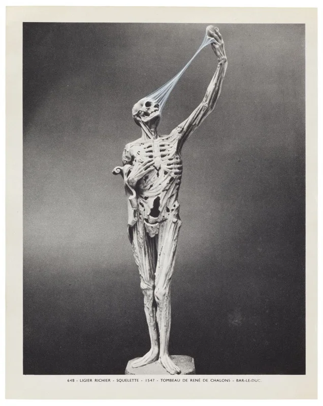 Ann-Marie James, Musée imaginaire, Plate 648, 2013 Encre sur papier —&nbsp;22,3 ×&nbsp;17,7 cm Courtesy galerie Karsten Schubert, Londres