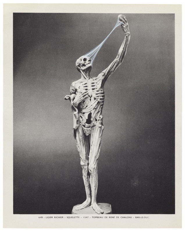 Ann-Marie James , Musée imaginaire, Plate 648 , 2013 Encre sur papier — 22,3 × 17,7 cm Courtesy galerie Karsten Schubert, Londres