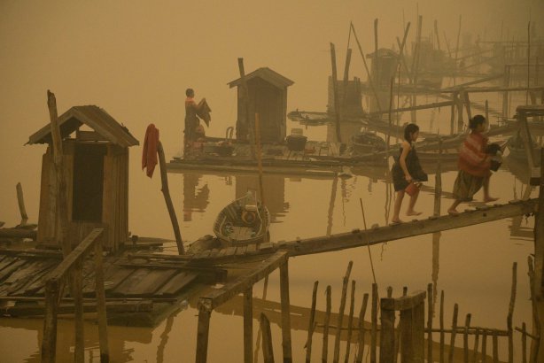 Photograph: Ardiles Rante/Greenpeace