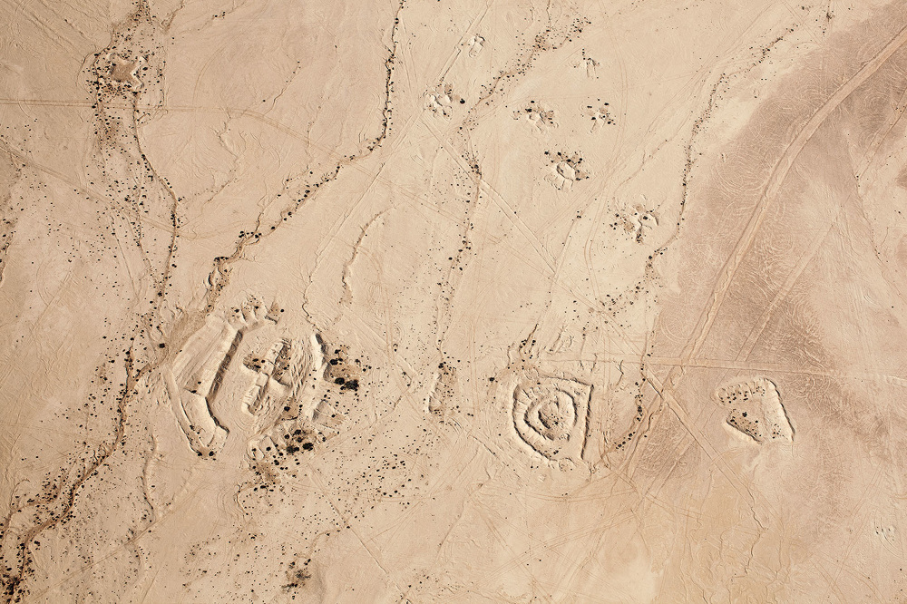 Fazal Sheikh, Desert Bloom