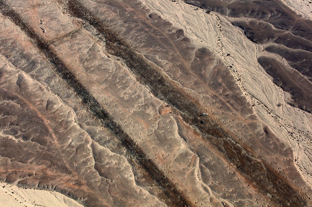Fazal Sheikh, Desert Bloom