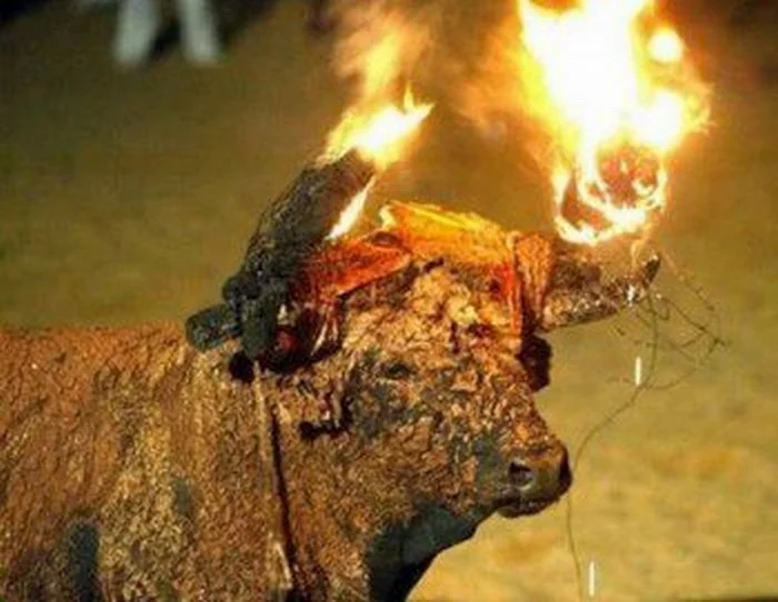 "Comment rester immobile quand on est en feu ?" - question zen, réponse Claro