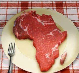 Quatre raisons de s'énerver contre les ONG et la gauche caviar sans but lucratif