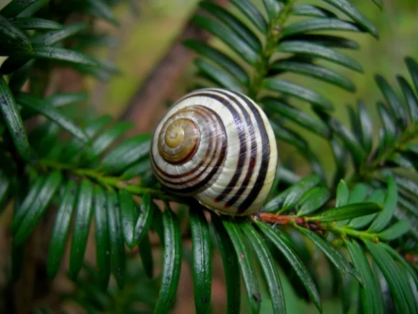 Grand repli stratégique mondial devant le "hard landing" imminent