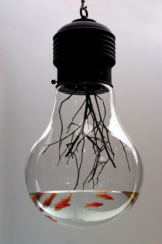 MyeongBeom Kim, Edison, 2004 Ampoule, poissons, eau, technique mixte — 38 × 38 × 76 cm — Pièce unique