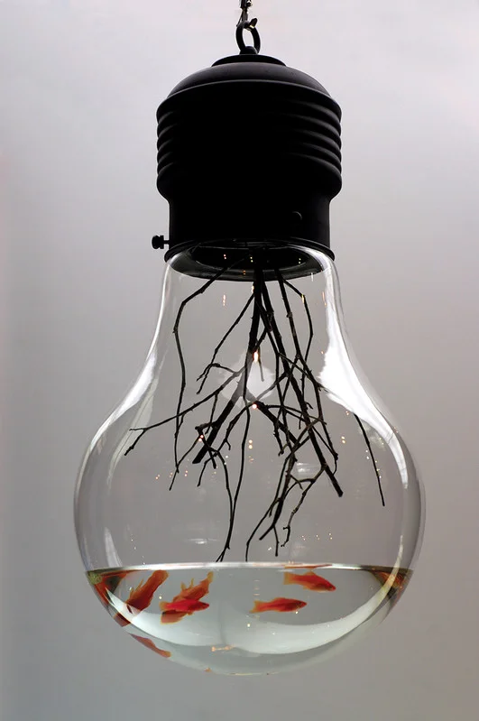 Paris - Beijing - It's funny because it's True 