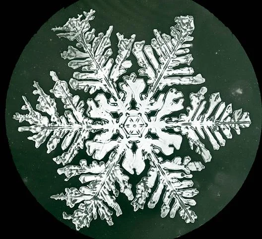 Wilson Alwyn Bentley