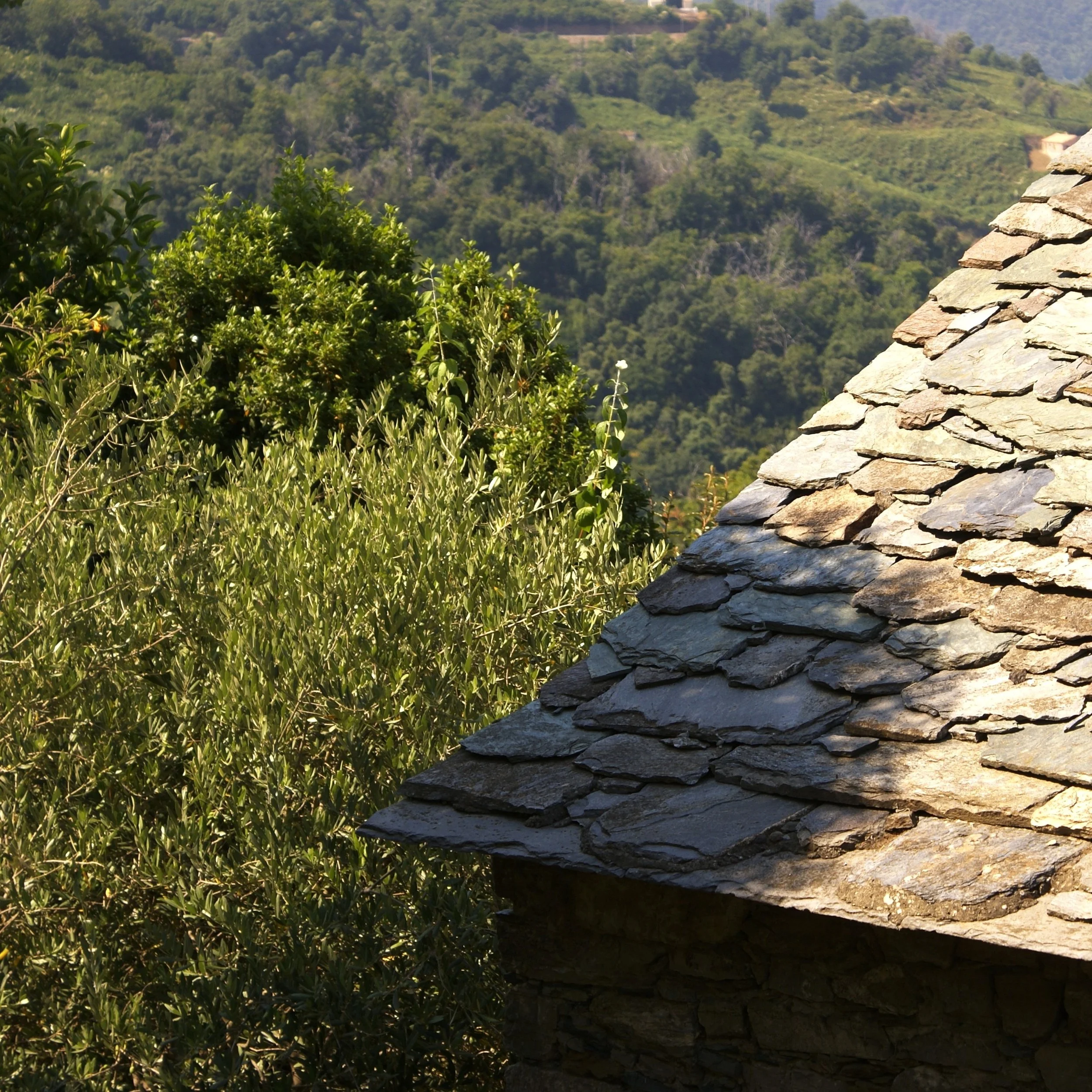 Loreto © Candice Nguyen